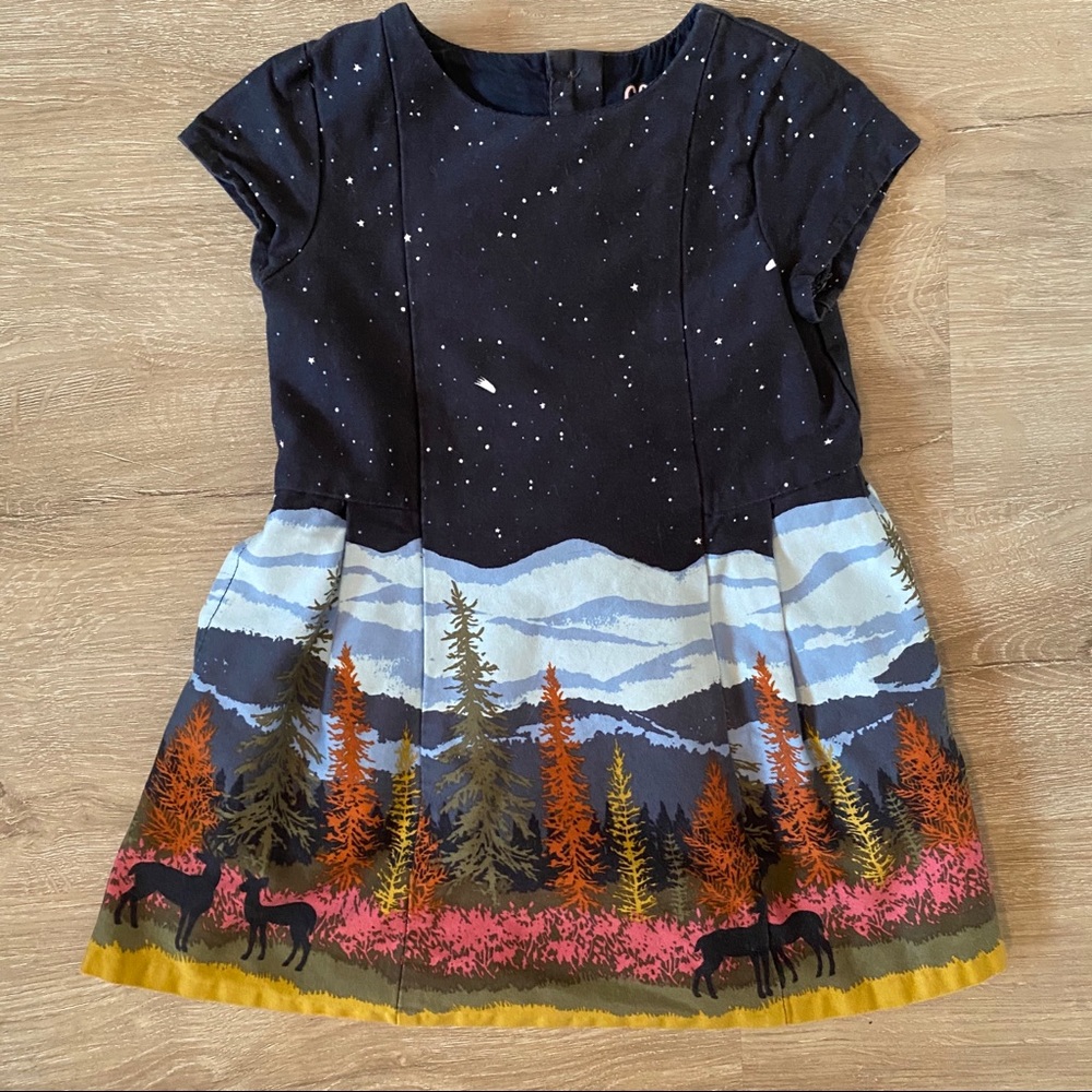 Oshkosh dress size 18 months